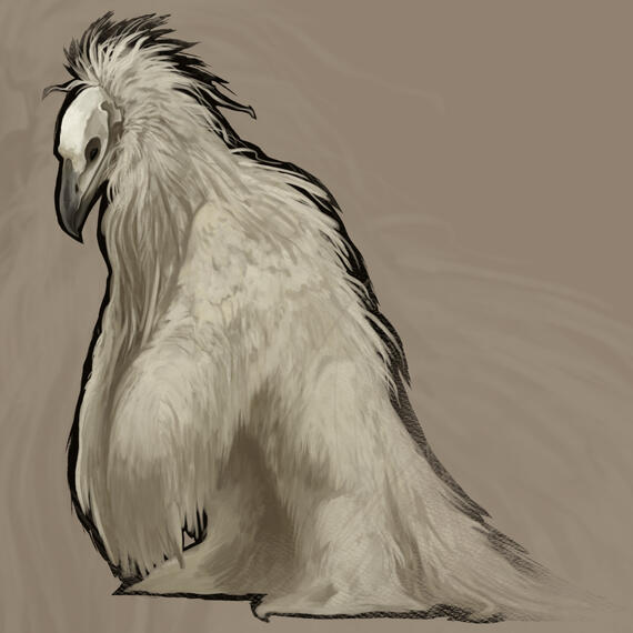 Opium Bird - Painted Opium Bird - Painted